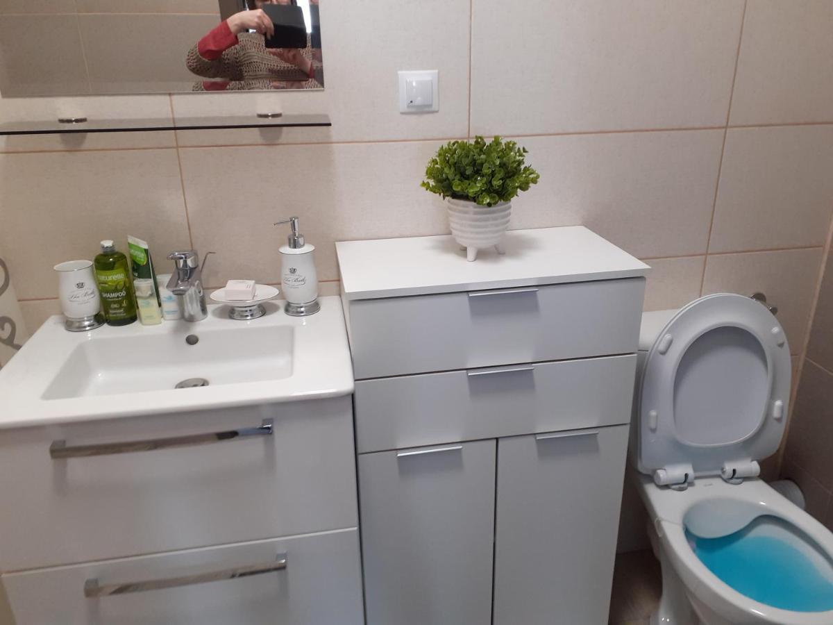 Sara Apartman Livezeni  المظهر الخارجي الصورة