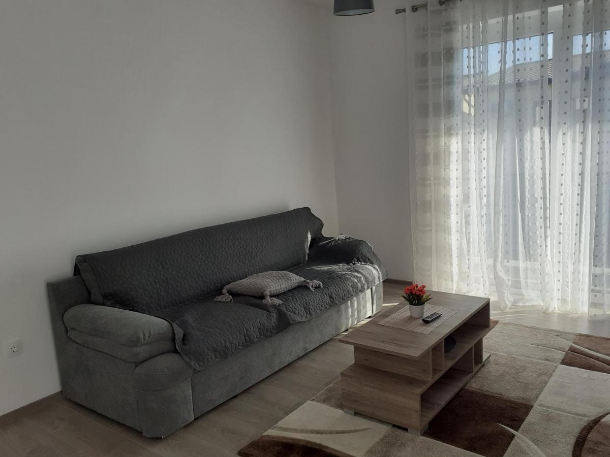 Sara Apartman Livezeni  المظهر الخارجي الصورة