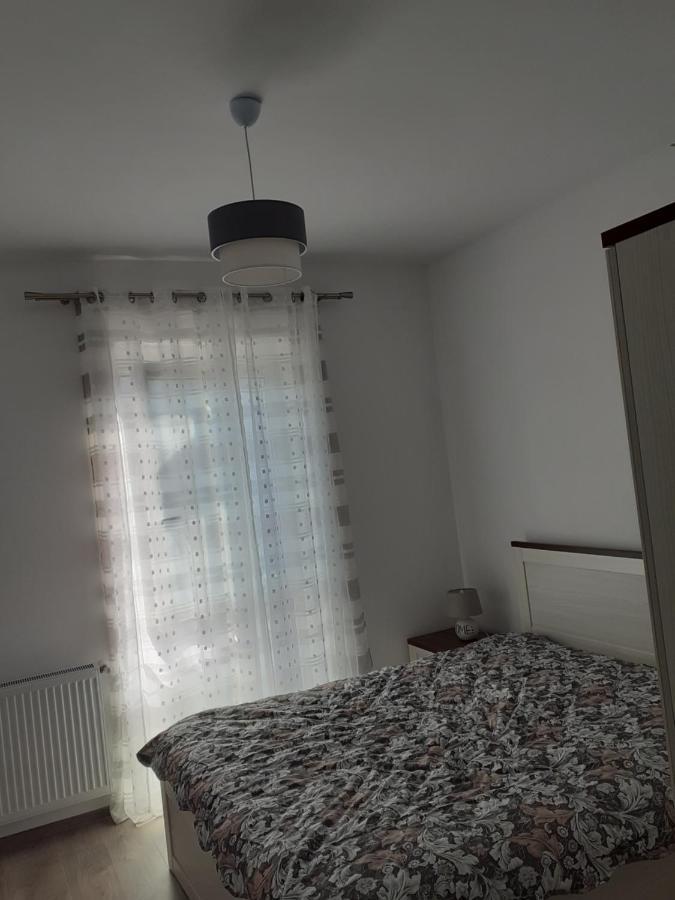 Sara Apartman Livezeni  المظهر الخارجي الصورة